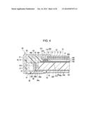 DISPLAY DEVICE, ELECTRONIC APPARATUS AND LIGHTING DEVICE diagram and image