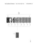 ARCHIVING IMAGERY ON DIGITAL OPTICAL TAPE diagram and image