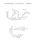 Vectors Conditionally Expressing Protein diagram and image