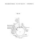 Vectors Conditionally Expressing Protein diagram and image