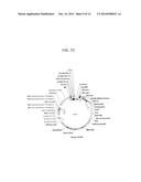 Vectors Conditionally Expressing Protein diagram and image