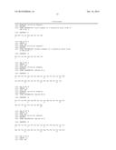 HLA-DR7 HY epitope and method for treating leukaemia diagram and image