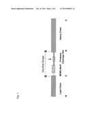 NEUROTOXINS EXHIBITING SHORTENED BIOLOGICAL ACTIVITY diagram and image