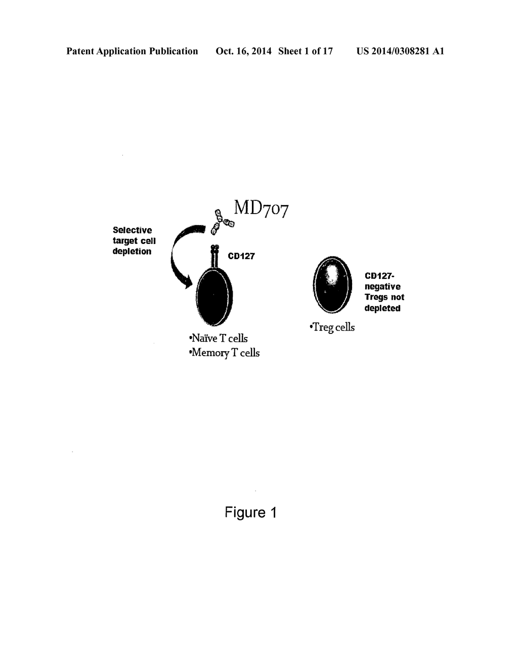 ANTIBODIES DIRECTED AGAINST THE ALPHA CHAIN OF IL7 RECEPTOR - THEIR USE     FOR THE PREPARATION OF DRUG CANDIDATES - diagram, schematic, and image 02