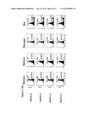 ANTIBODIES DIRECTED AGAINST THE ALPHA CHAIN OF IL7 RECEPTOR - THEIR USE     FOR THE PREPARATION OF DRUG CANDIDATES diagram and image