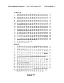 ANTIBODIES DIRECTED AGAINST THE ALPHA CHAIN OF IL7 RECEPTOR - THEIR USE     FOR THE PREPARATION OF DRUG CANDIDATES diagram and image