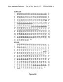 ANTIBODIES DIRECTED AGAINST THE ALPHA CHAIN OF IL7 RECEPTOR - THEIR USE     FOR THE PREPARATION OF DRUG CANDIDATES diagram and image