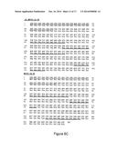 ANTIBODIES DIRECTED AGAINST THE ALPHA CHAIN OF IL7 RECEPTOR - THEIR USE     FOR THE PREPARATION OF DRUG CANDIDATES diagram and image