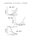 ANTIBODY SELECTIVE FOR A TUMOR NECROSIS FACTOR-RELATED APOPTOSIS-INDUCING     LIGAND RECEPTOR AND USES THEREOF diagram and image