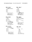 ANTIBODY SELECTIVE FOR A TUMOR NECROSIS FACTOR-RELATED APOPTOSIS-INDUCING     LIGAND RECEPTOR AND USES THEREOF diagram and image