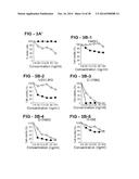 ANTIBODY SELECTIVE FOR A TUMOR NECROSIS FACTOR-RELATED APOPTOSIS-INDUCING     LIGAND RECEPTOR AND USES THEREOF diagram and image