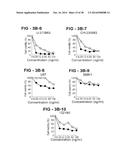 ANTIBODY SELECTIVE FOR A TUMOR NECROSIS FACTOR-RELATED APOPTOSIS-INDUCING     LIGAND RECEPTOR AND USES THEREOF diagram and image