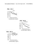 ANTIBODY SELECTIVE FOR A TUMOR NECROSIS FACTOR-RELATED APOPTOSIS-INDUCING     LIGAND RECEPTOR AND USES THEREOF diagram and image