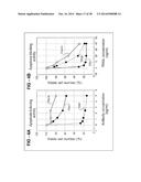 ANTIBODY SELECTIVE FOR A TUMOR NECROSIS FACTOR-RELATED APOPTOSIS-INDUCING     LIGAND RECEPTOR AND USES THEREOF diagram and image