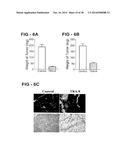 ANTIBODY SELECTIVE FOR A TUMOR NECROSIS FACTOR-RELATED APOPTOSIS-INDUCING     LIGAND RECEPTOR AND USES THEREOF diagram and image