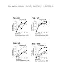 ANTIBODY SELECTIVE FOR A TUMOR NECROSIS FACTOR-RELATED APOPTOSIS-INDUCING     LIGAND RECEPTOR AND USES THEREOF diagram and image