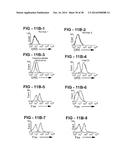 ANTIBODY SELECTIVE FOR A TUMOR NECROSIS FACTOR-RELATED APOPTOSIS-INDUCING     LIGAND RECEPTOR AND USES THEREOF diagram and image