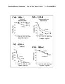 ANTIBODY SELECTIVE FOR A TUMOR NECROSIS FACTOR-RELATED APOPTOSIS-INDUCING     LIGAND RECEPTOR AND USES THEREOF diagram and image