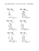 ANTIBODY SELECTIVE FOR A TUMOR NECROSIS FACTOR-RELATED APOPTOSIS-INDUCING     LIGAND RECEPTOR AND USES THEREOF diagram and image