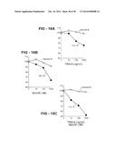 ANTIBODY SELECTIVE FOR A TUMOR NECROSIS FACTOR-RELATED APOPTOSIS-INDUCING     LIGAND RECEPTOR AND USES THEREOF diagram and image