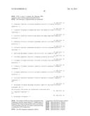 ANTIBODY SELECTIVE FOR A TUMOR NECROSIS FACTOR-RELATED APOPTOSIS-INDUCING     LIGAND RECEPTOR AND USES THEREOF diagram and image