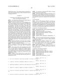 ANTIBODY SELECTIVE FOR A TUMOR NECROSIS FACTOR-RELATED APOPTOSIS-INDUCING     LIGAND RECEPTOR AND USES THEREOF diagram and image