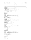 ANTIBODY SELECTIVE FOR A TUMOR NECROSIS FACTOR-RELATED APOPTOSIS-INDUCING     LIGAND RECEPTOR AND USES THEREOF diagram and image