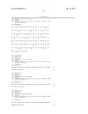 ANTIBODY SELECTIVE FOR A TUMOR NECROSIS FACTOR-RELATED APOPTOSIS-INDUCING     LIGAND RECEPTOR AND USES THEREOF diagram and image