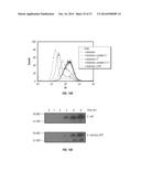 EXTRACELLULAR HISTONES AS BIOMARKERS FOR PROGNOSIS AND MOLECULAR TARGETS     FOR THERAPY diagram and image