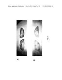 COMPOSITION AND METHODS FOR IMPROVING ORGANOLEPTIC PROPERTIES OF FOOD     PRODUCTS diagram and image