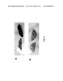 COMPOSITION AND METHODS FOR IMPROVING ORGANOLEPTIC PROPERTIES OF FOOD     PRODUCTS diagram and image