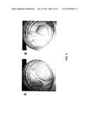 COMPOSITION AND METHODS FOR IMPROVING ORGANOLEPTIC PROPERTIES OF FOOD     PRODUCTS diagram and image