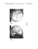 COMPOSITION AND METHODS FOR IMPROVING ORGANOLEPTIC PROPERTIES OF FOOD     PRODUCTS diagram and image