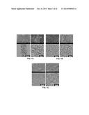 Methods for the Bio-programmable Crystallization of Multi-component     Functional Nanoparticle Systems diagram and image