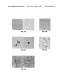 Methods for the Bio-programmable Crystallization of Multi-component     Functional Nanoparticle Systems diagram and image