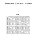 DNA POLYMERASES WITH INCREASED 3 -MISMATCH DISCRIMINATION diagram and image