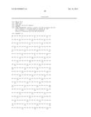 DNA POLYMERASES WITH INCREASED 3 -MISMATCH DISCRIMINATION diagram and image