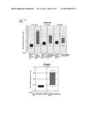 SMYD2 AS A TARGET GENE FOR CANCER THERAPY AND DIAGNOSIS diagram and image