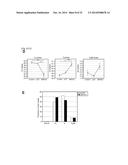 SMYD2 AS A TARGET GENE FOR CANCER THERAPY AND DIAGNOSIS diagram and image