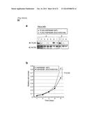 SMYD2 AS A TARGET GENE FOR CANCER THERAPY AND DIAGNOSIS diagram and image