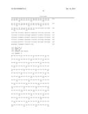 SMYD2 AS A TARGET GENE FOR CANCER THERAPY AND DIAGNOSIS diagram and image