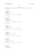 SMYD2 AS A TARGET GENE FOR CANCER THERAPY AND DIAGNOSIS diagram and image