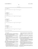 SMYD2 AS A TARGET GENE FOR CANCER THERAPY AND DIAGNOSIS diagram and image