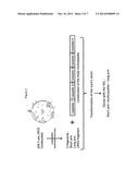 YEAST ARTIFICIAL CHROMOSOME CARRYING THE MAMMALIAN GLYCOSYLATION PATHWAY diagram and image