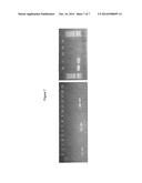 YEAST ARTIFICIAL CHROMOSOME CARRYING THE MAMMALIAN GLYCOSYLATION PATHWAY diagram and image