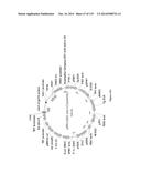 Yeast Expressing Saccharolytic Enzymes for Consolidated Bioprocessing     Using Starch and Cellulose diagram and image