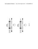 Yeast Expressing Saccharolytic Enzymes for Consolidated Bioprocessing     Using Starch and Cellulose diagram and image