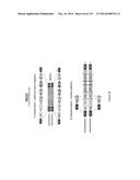 Yeast Expressing Saccharolytic Enzymes for Consolidated Bioprocessing     Using Starch and Cellulose diagram and image