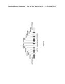 Yeast Expressing Saccharolytic Enzymes for Consolidated Bioprocessing     Using Starch and Cellulose diagram and image