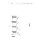 Yeast Expressing Saccharolytic Enzymes for Consolidated Bioprocessing     Using Starch and Cellulose diagram and image